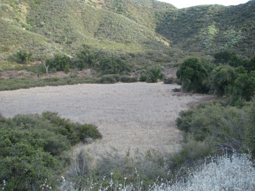 Indian Meadow Camp Dick Smith Wilderness Los Padres National Forest Santa Barbara Backcountry