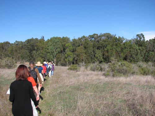 Elwood Santa Barbara Hike Trail