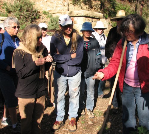 Parma Park Adult Education Edible and Medicinal Plants Class