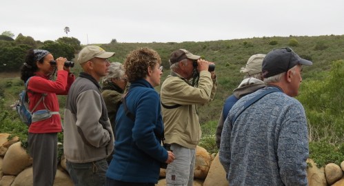 Audubon Bird Walk Elings Park Santa Barbara Hike