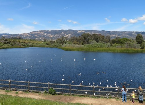 Lake Los Carneros Goleta
