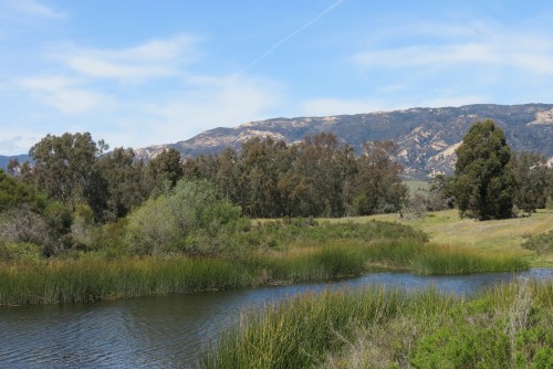 Lake Los Carneros Goleta