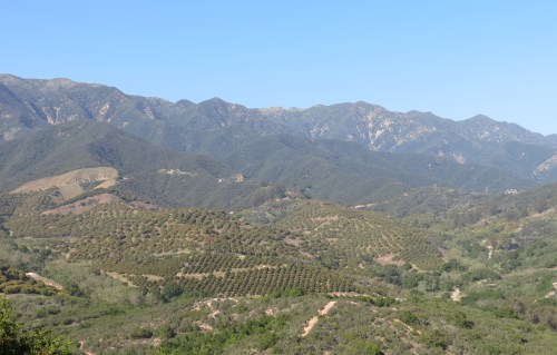 View from Toro Ridge Toro Canyon Park Santa Ynez Mountains Santa Barbara hiking trail
