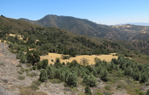 La Jolla Springs Trail meadow Los Padres National Forest