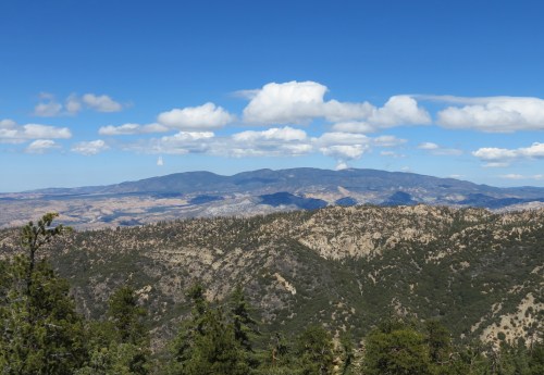 Mount Pinos Los Padres National Forest Santa Barbara Day Hike Trail Ojai Reyes Peak Pine Mountain