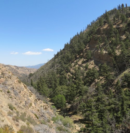 Tinta Trail Los Padres National Forest Santa Barbara hike