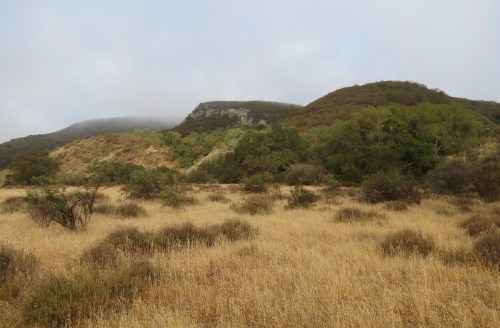 Condor Trail Los Padres National Forest Santa Barbara Backcountry hike Willow Spring Brookshire