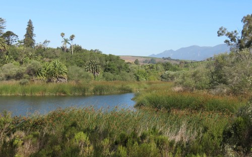 Lake Los Carneros Birding bird watching Roger Millikan Rancho La Patera Park Santa Barbara Goleta day hike trail