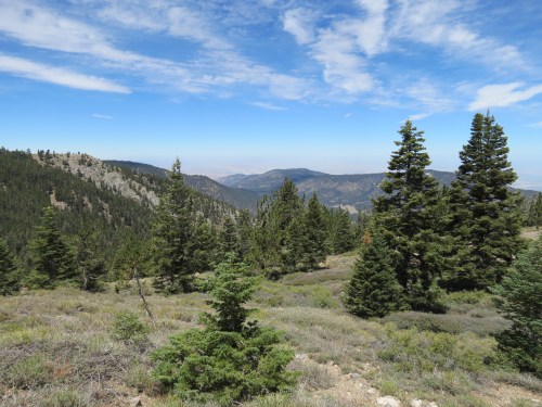 Vincent Tumamait Trail Mount Mt. Pinos Los Padres National Forest Chumash Wilderness