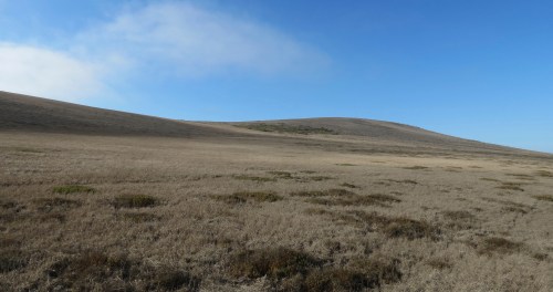 Santa Barbara Island day hike camping Channel Island National Park