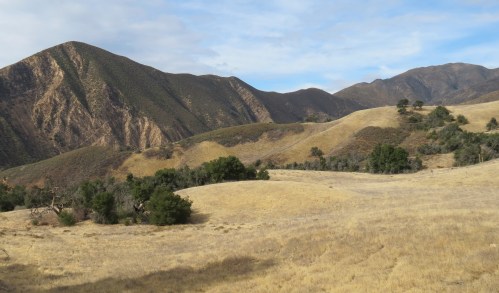 Romo Roma Potrero Santa Cruz Trail Santa Barbara Hike Flores Flat Los Padres National Forest