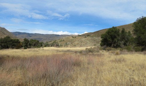 Flores Flat Santa Cruz Trail San Rafael Wilderness Los Padres National Forest Santa Barbara Hike West Fork Santa Cruz Creek