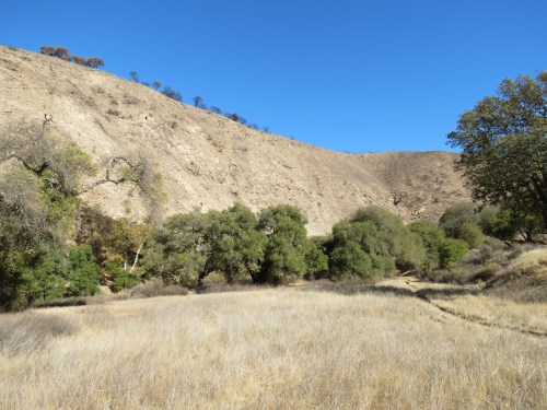 Leo Flore Santa Cruz Creek Alexander Trail rancho oso lower upper trail santa barbara hike Los Padres national Forest
