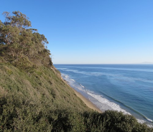 Douglas Family Preserve Santa Barbara hike trail Wilcox Property Nursery