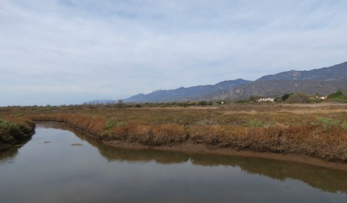 Carpinteria Salt Marsh Nature Park Santa Barbara trail hike Land Trust estuary slough