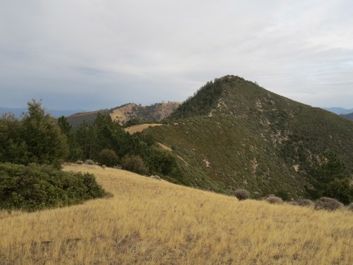 Zaca lake Ridge Peak Trail Santa Barbara hike Midland School Los Padres National Forest