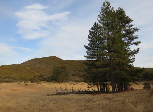 Dry Lakes Ridge Botanical Area Trail Ojai Hike Los Padres National Forest