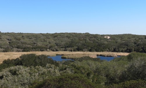 Burton Mesa Chaparral Ecological Reserve Lompoc hike trail Vandenberg Village Muffin Hill