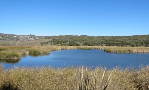 Burton Mesa Ecological Reserve freshwater marsh Vanderberg Village Lompoc trails hiking
