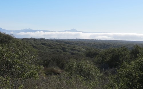 Burton Mesa Ecological Reserve hike trail Lompoc Vandenberg Village