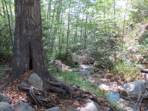 Horn Canyon Creek Ojai Thacher Los Padres National Forest Hike trail