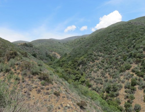 The Pines Horn Canyon Thacher Scholl Los Padres National Forest Ojai hiking  trail