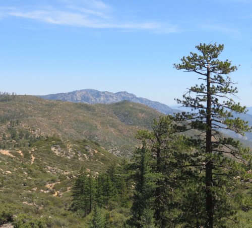 West Big Pine Mountain Mission Pine Trail Spring San Rafael Wilderness hike Los Padres National Forest