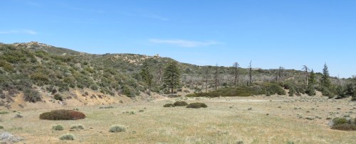 Mission Pine Basin Trail Los Padres National Forest Santa Barbara hike San Rafael Wilderness