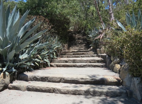 Franceschi Park hidden secret stairway Riviera Santa Barbara hike