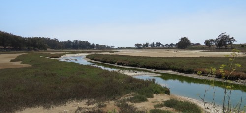 Devereux Creek Slough Coal Oil Point Reserve Sands Beach hike Santa Barbara Goleta Trail