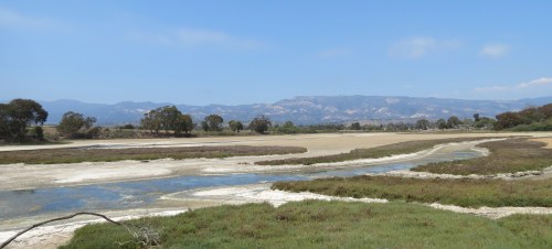 Devereux Slough Coal Oil Point Reserve Santa Barbara Goleta Isla Vista Hiking Trail