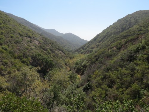 West Fork Cold  Spring Canyon hike trail Santa Barbara Montecito Los Padres National Forest 