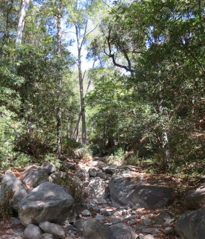 Los Padres National Forest Santa Barbara day hike trail hiking East Fork Cold Spring Creek Canyon