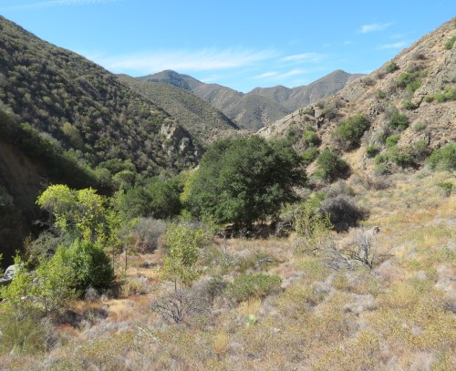 Manzana Narrows Creek trail hike Los Padres national forest San Rafael 