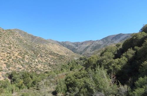 Manzana Creek trail hike San Rafael Mountain Wilderness Los Padres National Forest Big Cone Spruce