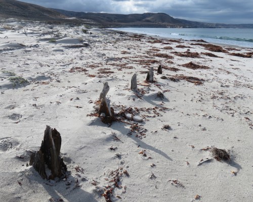 Jane's Knees Skunk Point Santa Rosa Island Channel island National Park Jane L. Stanford