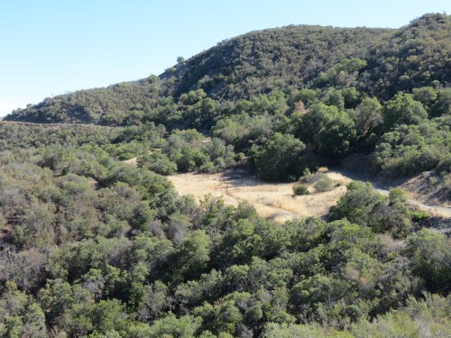 Hidden Potrero Buckhorn Camuesa Road hike trail Santa Barbra Los Padres national forest