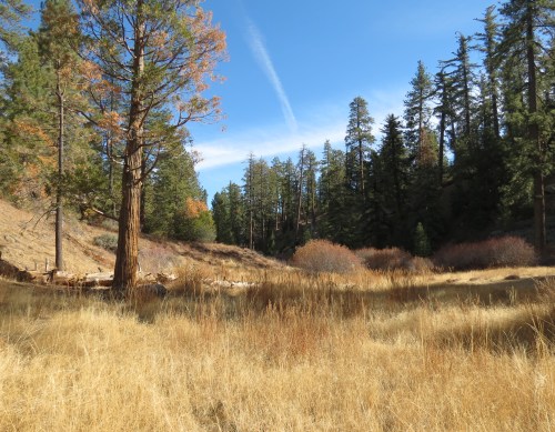 Haddock Camp Gene Marshall Piedra Blanca Trail hike Sespe Wilderness Los Padres National Forest