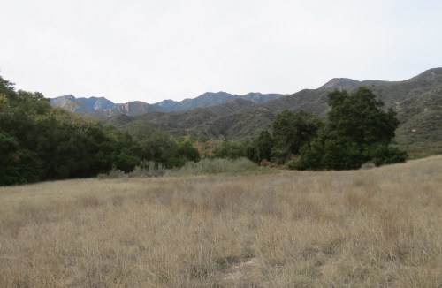 El Nido Meadow Ventura River Preserve hike trail Ojai Valley Land Trust