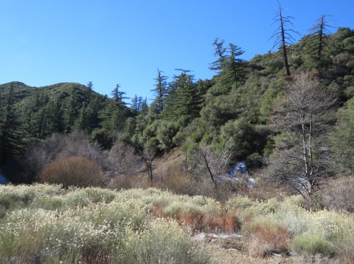 Cherry Creek Road hike trail Ojai Los Padres National Forest