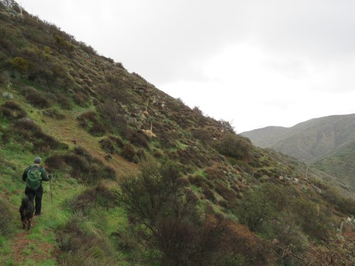Bryan Conant San Rafael Wilderness Map Los Padres National Forest 