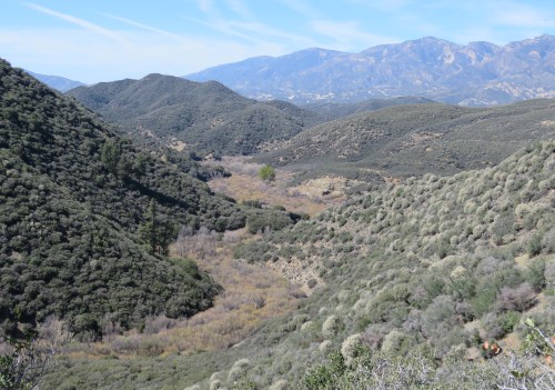 Lion Canyon Trail Ojai hiking backpacking Rose Valley Los Padres National Forest