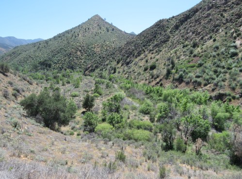 Fish Creek Manzana Trail San Rafael Wilderness hiking backpacking Los Padres National Forest