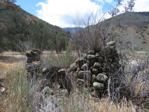 Herman Wellman Willmann homestead Los Padres National Forest San Rafael Wilderness Sisquoc River trail hike
