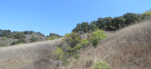 Lake Shore Trail Casitas Ojai hike