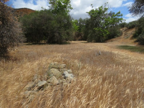 William Miller Canyon Base Camp homestead los padres national forest san rafael wilderness sisquoc river trail hiking backpacking