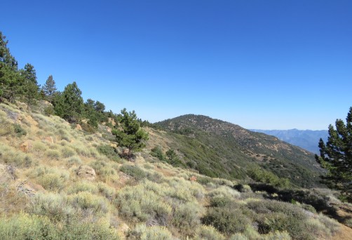 Chorro Grande Trail Reyes Peak Campground Los Padres National Forest Pine mountain ridge hike