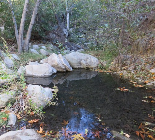 Sisar Creek Canyon trail hike ojai Los Padres National Forest