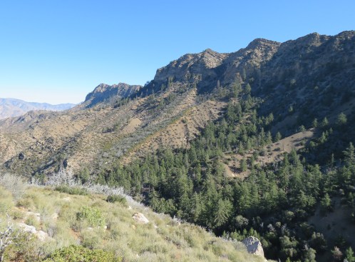 Timber Canyon Red Reef Trail Ojai hike backpacking Sespe Wilderness Los Padres National Forest Topatopa Mountains