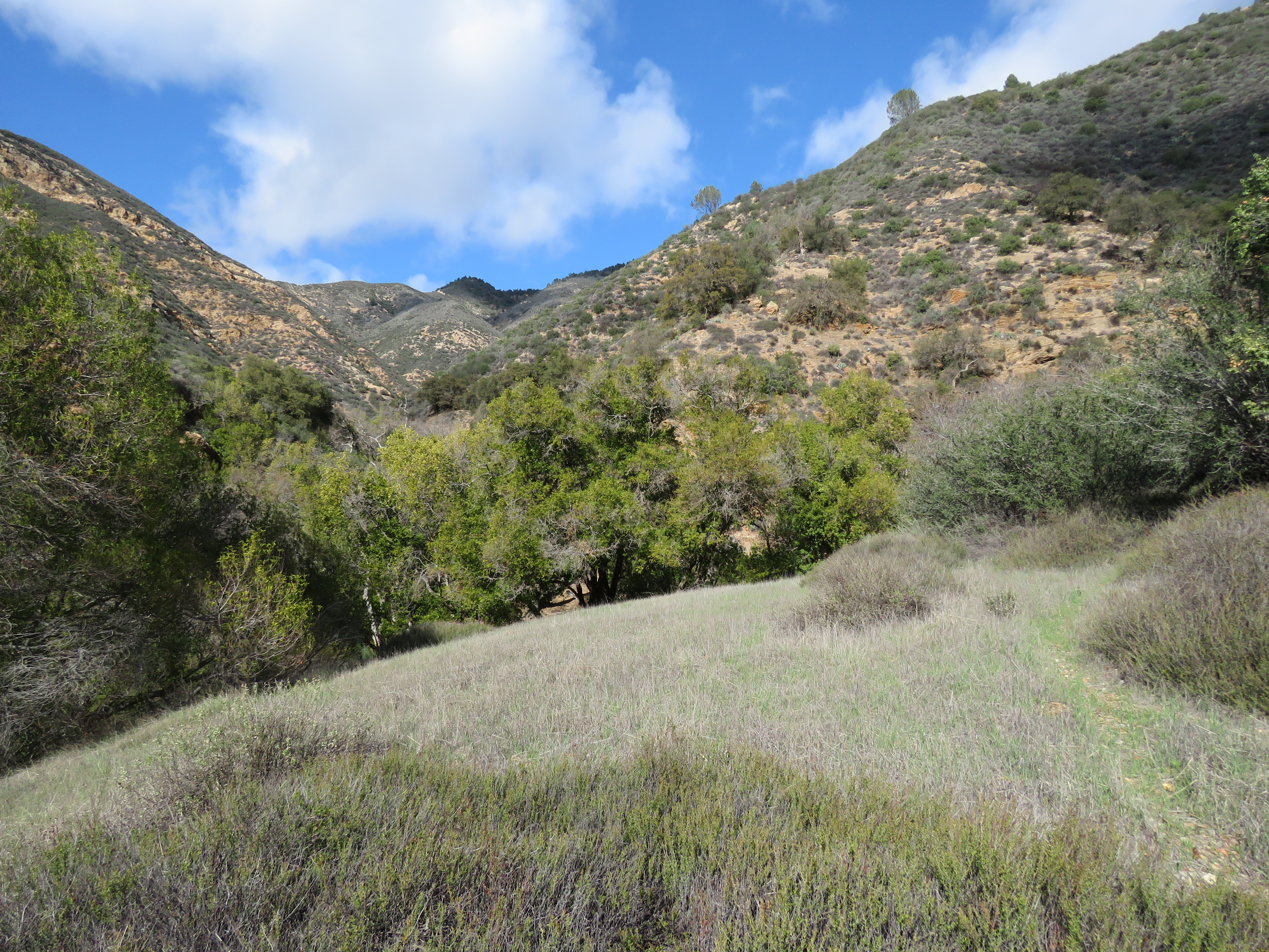 Birabent Canyon Ballard Camp La Jolla Trail hiking Figueroa Mountain San Rafael Los Padres National Forest